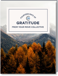 Gratitude Guide